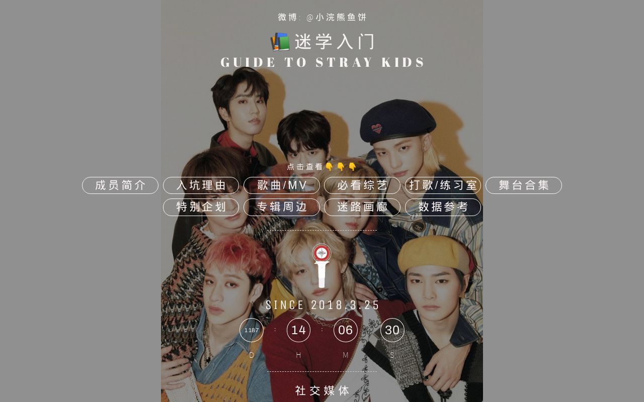 guide to stray kids Chinese